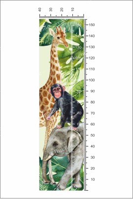 Tropikal Safari Boyölçer Çocuk Odası Stickerı