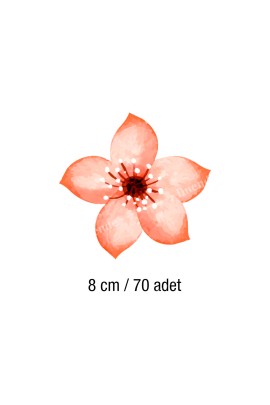 Sonbahar Çiçekleri Duvar Stickerı